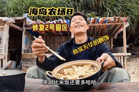 海岛田园，2号农场修复完成，扩展种植区，掠夺杰瑞囗粮，美汁汁视频封面