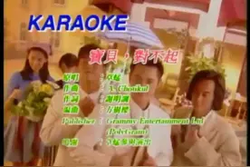 《宝贝对不起》是中国香港演唱组合草蜢演唱的一首歌曲，由A.视频封面