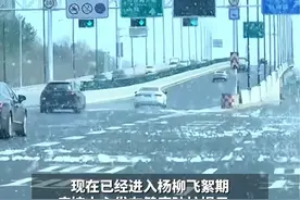 北京现在已经进入杨柳飞絮高发期，建议杨柳絮过敏者中午少出门#柳絮 #过敏 #春天 #飞絮视频封面
