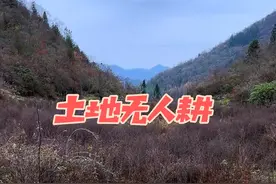 短短20年时间，曾经养家糊口的土地，全都无人耕种了。#农村老家 #乡野田间 #农村老家视频封面