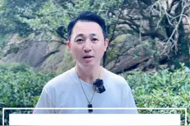 原来大红袍的母树长这样，这背后还有这么多有趣的故事。#武夷山 #大红袍 #茶叶 #文旅推荐官 #武夷山大红袍视频封面