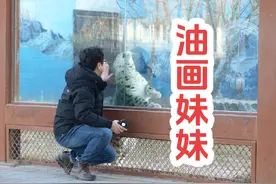 2019年人工繁育的#雪豹 ——油画，当着记者们的面，和我开心玩耍视频封面