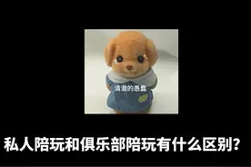 私人陪玩和俱乐部陪玩有什么区别 #王者荣耀 #测评视频封面