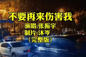 当张振宇的这首《不要再来伤害我》响起时，仿佛又回到了那个年代视频封面