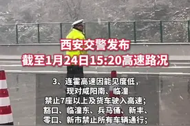 雨雪天#出发回家前记得查下高速信息  西安部分收费站禁止所有车辆通行  动态调整 以交警部门最新发布为准（记者：白凯）视频封面
