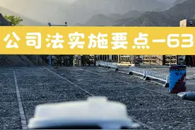 清算组不履行职责或者不适当履行职责，应当承担何种责任？ #公司 #股东 #董事 #清算视频封面