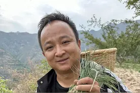 薤白小蒜 这种山里的小蒜应该很多人都吃过吧，它就是大名鼎鼎的薤白，葱，韭，蒜的结合体，非常好的神奇，你们那边叫它什么#我的乡村生活 #薤白 #我的乡村生活 #赶山人 #植物科普视频封面