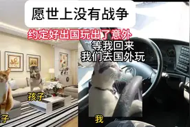 妻女已死，是非对错我已无心解释。 #猫meme小剧场 #真实事件改编视频封面
