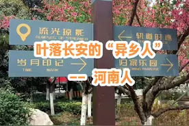 西安人不离故土，河南人四海为家。说几句河南话听听#西安 #河南视频封面