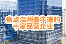 盘点温州最牛逼的十家民营企业#城市发展视频封面