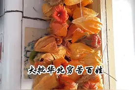 山海关城东门，界定着关外和关内中原大地，从明清到民国期间，以山东、直隶为主的关内人开始兴起了闯关东。#乡愁记忆 #大东北我的家乡 #每一帧都是热爱 #天很蓝太阳很暖故事很短 #用抖音记录农村真实生活