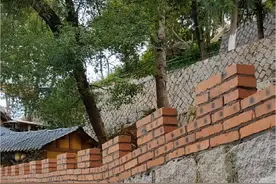 小院改造，继续前行。 在围墙上的“小长城”装饰，种点吊兰类植物，菜地里也做些小挡墙，防止泥土到处跑#农村生活 #红砖围墙 #庭院改造 #庭院设计视频封面