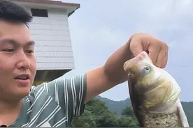 那天晚上鱼竿在这被鱼拖走了，你们说多大的鱼才能拖动鱼竿#浮钓鲢鳙 #鱼杆被鱼拉下水视频封面