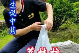 荔枝核