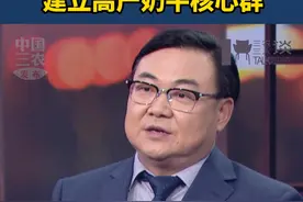 原料奶价格跌破成本，到底什么原因？通过调结构，建立高产奶牛核心群。 #三农三人谈视频封面