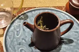今天看书50页，奖励自己喝一泡2019牡丹😁#茶馆里的小日常视频封面