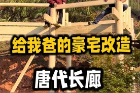 我爸肯定没想到 我花了一个月时间把臭水沟子改造成大气典雅汉代长廊#我的乡村生活#改造前vs改造后#农村自建房#春日给家变个装视频封面
