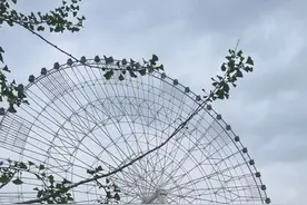 原来 公开恋情不是给现任看的 而是前任#一切都在权衡利弊视频封面