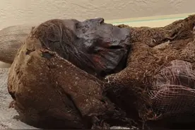 楼兰美女距今已有3800年，新疆自治区博物馆#博物馆视频封面