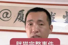 梳理了胖猫完整事件，很压抑难受和愤怒#众达人为胖猫发声视频封面