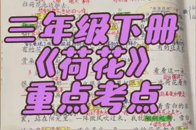 #三年级下册语文   三年级下册《荷花》重点考点#知识点总结视频封面
