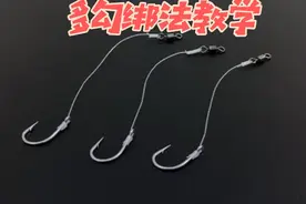子线多勾绑法 八字环实用#八字环绑法 #绑钩教程 #子线双钩视频封面