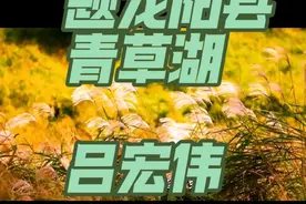 男生版首唱《题龙阳县青草湖》来啦 #吕宏伟 老师的演唱，是男生版的首唱， 作为范唱收录在我的古诗词声乐作品集中！ 👍👍他的演唱，别有一种古朴，内敛，韵味十足，引人入胜为吕宏伟老师点赞！👏🏻👏🏻👏🏻#民族声乐 #声乐 #诗与远方 #好歌推荐  需要本首作品曲谱学习的同学，可以私信我。谢谢大家的喜欢！视频封面