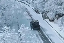 今天的分水岭实况雪景，春天里的童话世界，冰雪奇缘#秦岭雪景 #分水岭下雪了 #带你看雪景 #冬季秦岭能有多美 #三月的雪视频封面