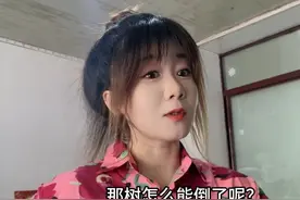 爸爸养牛，向来比别人养得辛苦：牛棚有两个，一个用来晚上睡觉，一个用来白天运动；牛棚、牛身上永远要干净；冬天要给温水喝，夏天要给青草吃；牛病了他就彻夜彻夜的守着；他每天去牛棚无数回，有时候甚至只是去看看……#我的乡村生活 #日常vlog #美食 #陪伴亲人 #视频封面