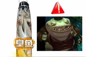 挑战40+河流之主！第一集！野钓巨鲶。 #路亚新手入门教程 #钓鱼技巧 #野钓 #鲶鱼 #绫罗pe线 听说臭鱼是巨型鲶鱼的最爱！刚好楼下赣江就有不少大家伙，今天就来挑战一下野钓巨物吧！视频封面
