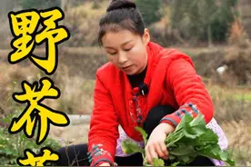 鲜野生芥菜，手工腌制，咸香脆爽，每一口都是大自然的馈赠！#我的乡村生活 #农村美食 #腌芥菜 #尝一口春天的味道 #乡野春日地图视频封面