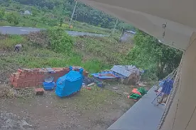 诸暨大唐蒋三南的老婆蒋满娟再次把我家种的蔬菜拔了😡😡😡视频封面