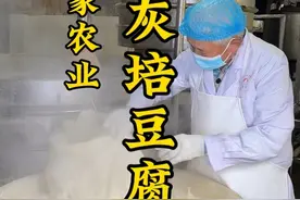 两分钟带你了解 老祖宗留下来的传统工艺 用灰培出来的豆腐#河南特色美食做法 #灰培豆腐的制作过程 #项城优选视频封面