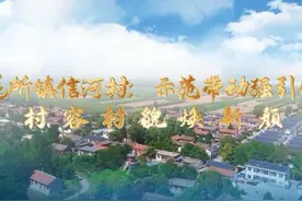崆峒区农村人居环境整治典型案例展播｜花所镇：示范带动强引领视频封面