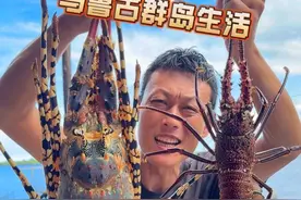 马鲁古群岛生活 第一次抓到八斤重的大龙虾，根本吃不完！#赶海 #美食 #原创 #记录真实生活 #荒岛生存视频封面
