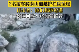 泰山两游客翻越护栏险坠崖，目击者：他们想抄近道，景区称将加强监管#泰山 #景区 #游客视频封面