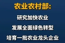 #政在发布 农业农村部：研究加快农业发展全面绿色转型，培育一批农业龙头企业，推动农业产业做大做强。视频封面