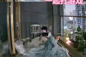 看到最后才知道 谁是真的🐶！ #监控下的一幕 #一航视频封面