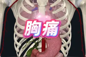 胸口疼痛的原因有哪些？心脏是在身体左边吗？ #胸痛 #心绞痛视频封面