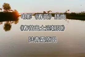 1975年电影《春苗》插曲《春苗出土迎朝阳》，陆青霜原唱视频封面
