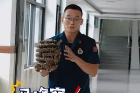 夏季消防安全科普—遇到马蜂怎么办#消防员 #消防宣传 #马蜂视频封面