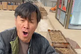 大头娃求奶盖视频封面