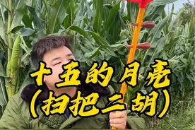 农村小伙一把二胡拉活了 这是一把什么二胡？#二胡 #二胡教学 #民族乐器 #乐器演奏 #公园二胡视频封面