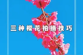 拍花技巧 樱花试试这样拍，太美了！简单易学#手机摄影 #拍花技巧 #拍摄花朵教程 #樱花 #踏春赏花视频封面
