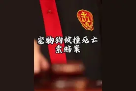 宠物狗未拴狗绳被撞死亡，司机需要赔偿吗？法院判了...#抖来普法2023#政务原创作者联盟 #狗