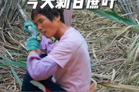 已发生的事情生气也于事无补，换个角度看问题也许有不一样的收获，情绪稳定是一生的必修课#我的乡村生活视频封面