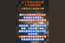 辽宁发布高速公路大雪Ⅲ级预警 可能造成交通线路中断#辽宁#下雪#高速公路视频封面