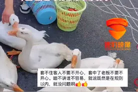 男子套大鹅引网友热议，是应该适可而止，还是遵守规则继续套？#套大鹅 #热议 #套圈 @抖音短视频视频封面