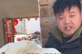 这两天就要出发去广州啦，迎来了我开年的第一场工作！新的一年，新的起点，迎接新的挑战，张秀秀要加油哟👏（在此非常感谢兄弟姐妹们一直以来对秀秀一家人的喜欢和信任🙇）因为有你们，秀秀才有了更多的机会，一直感恩着#新农人计划2025视频封面