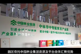 中林大家居国家队，打造中国家居建材领军品牌，搭建共建 共享视频封面